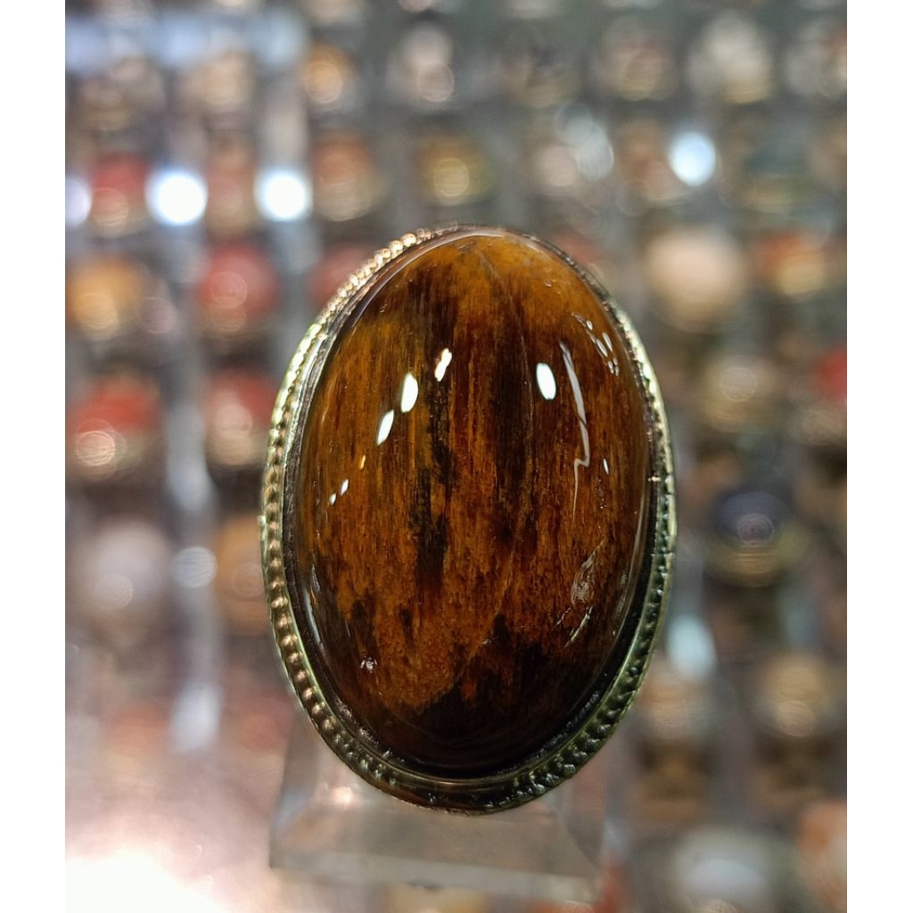 Cincin Fosil Kelor Jumbo(Natural)