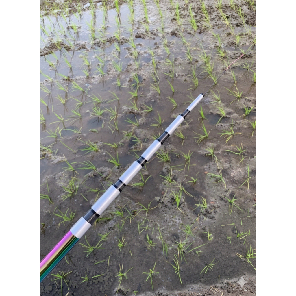 Joran Tegek Shimano Syoufu Full Carbon Original Kuat & Ringan