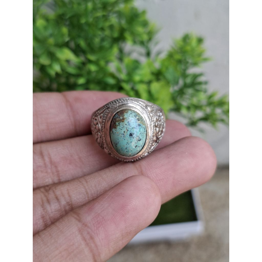 Natural Pirus Persia Mumbul Full Daging Warna Hijau Tosca