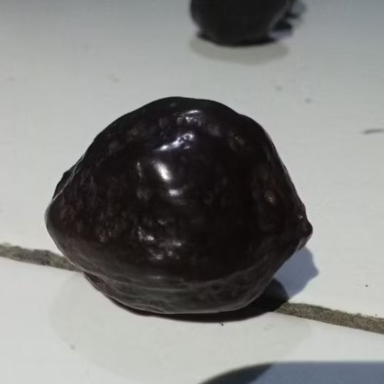 Muncang adu  jenis YANTI SUPER