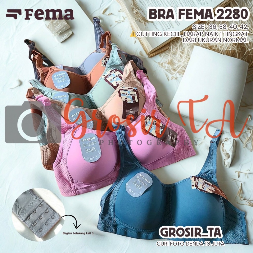 2Pcs Bra Fema 2280 Kait 3 | Bh Wanita Pori-Pori Adem Tanpa Kawat Busa Tipis-Sedang Cup B-C-GTA0790