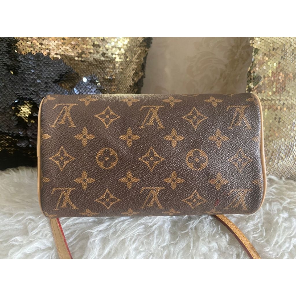 LV Speady Monogram Bag