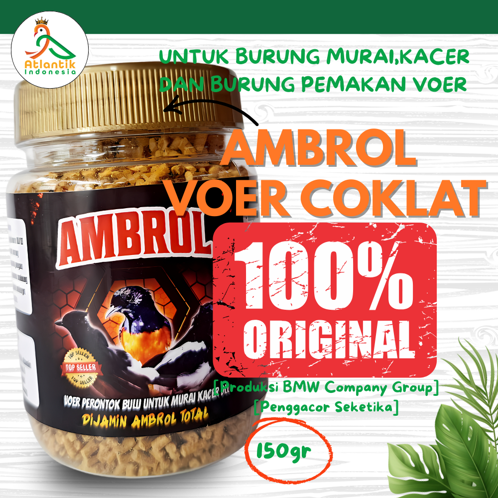 Ambrol Voer Coklat Perontok Bulu Burung Terjamin Ambrol Total Untuk Burung Murai Kacer Dll