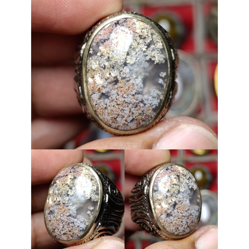 Batu badar lumut trenggalek