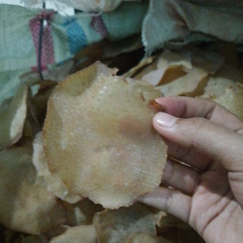 kerupuk jengkol asli mentah termurah padang