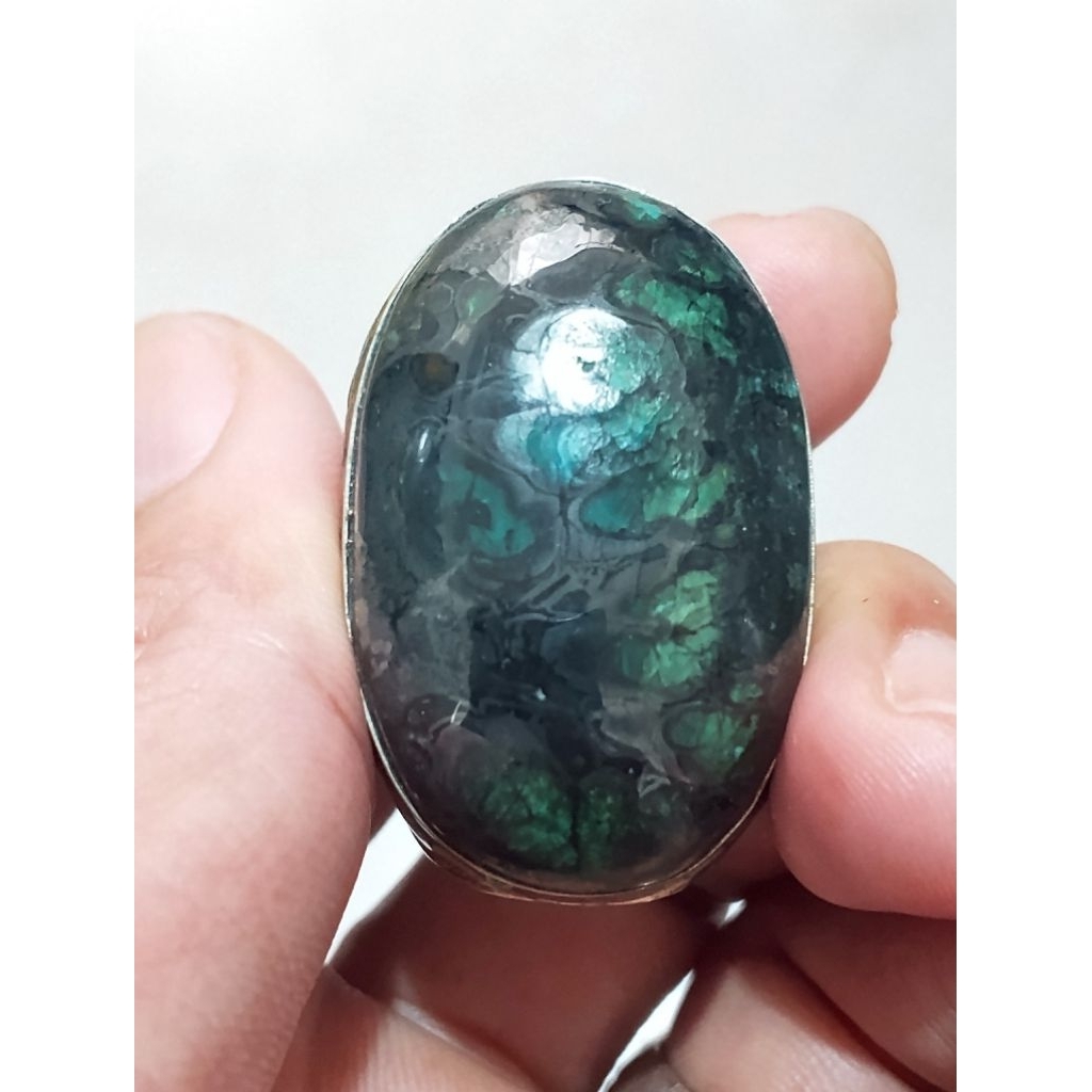 bacan kura Tali hitam