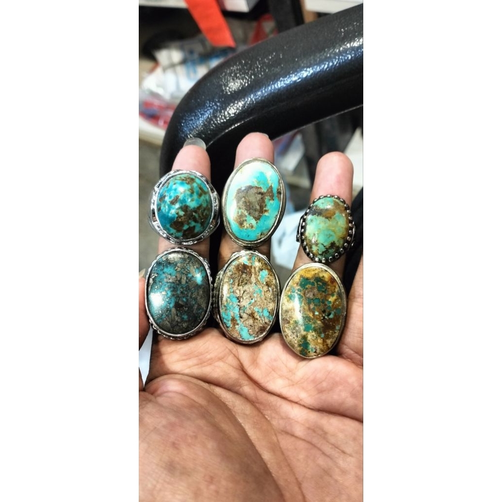 paket pirus persia jumbo borongan