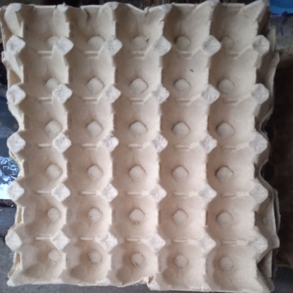 tray telur bekas murah 001