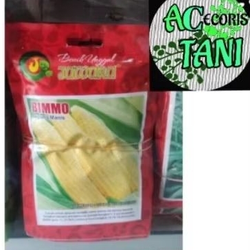 JAWARA_(Kecil)4-10GR