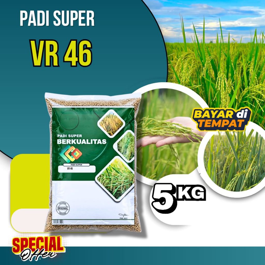 TERLARIS Benih Padi VR 46, Benih Padi Berkualitas Kemasan 5kg Original
