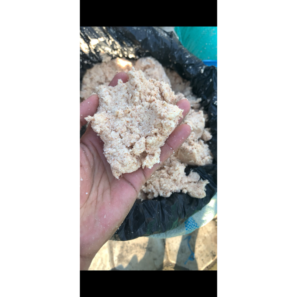 Onggok Singkong/ampas singkong Kemasan 50kg