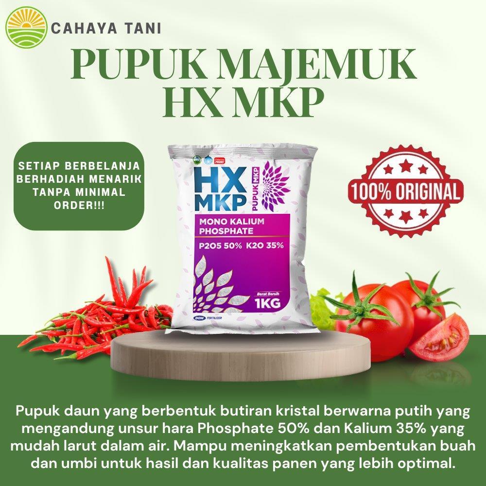 Pupuk Majemuk HX MKP 1Kg DGW