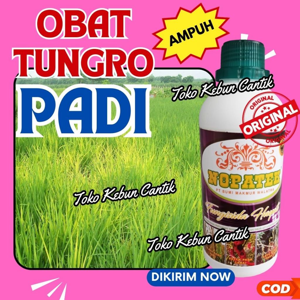 Obat Tungro Padi Cepat Pulih NOPATEK 500ml Fungisida Hayati