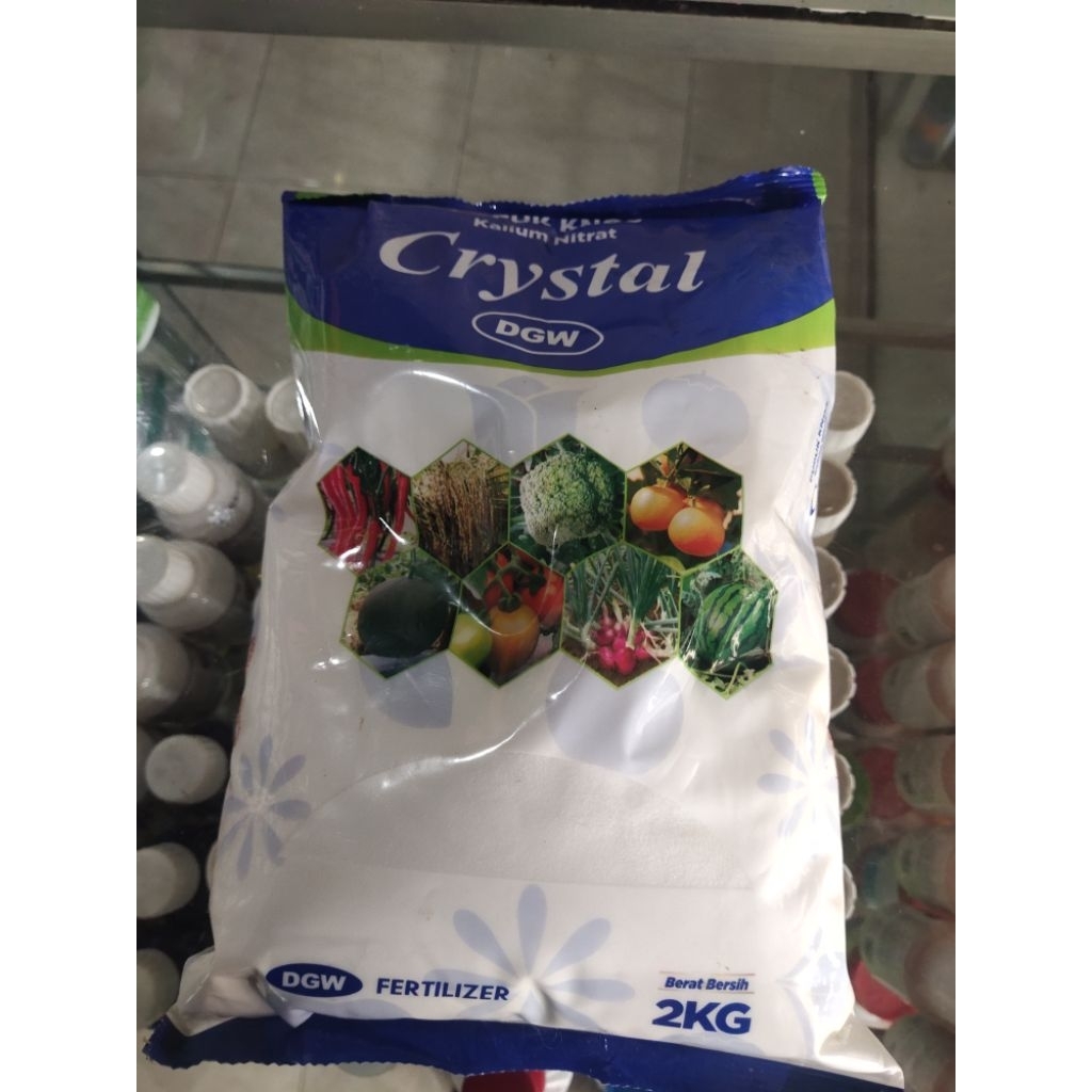 Pupuk Kno3 Crystal