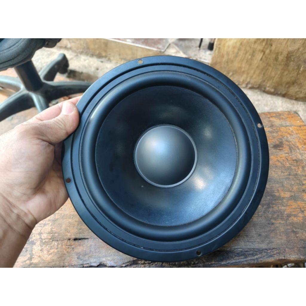 speaker subwoofer big band polytron
