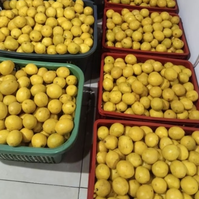 Jeruk Lemon California / Jeruk Lemon CF lokal 1kg