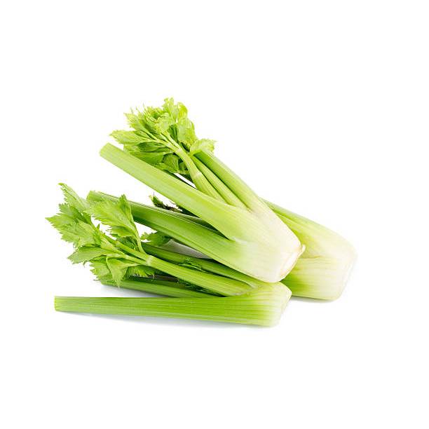 SIAP TANAM BENIH SELEDRI BATANG BESAR