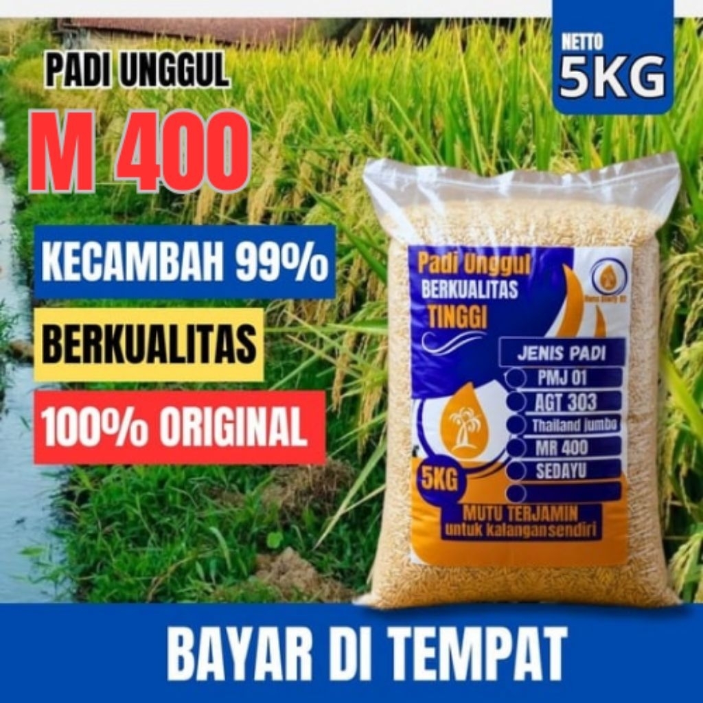 Benih Padi M400 kemasan 5kg bibit padi berkualitas di jamin 100%Original
