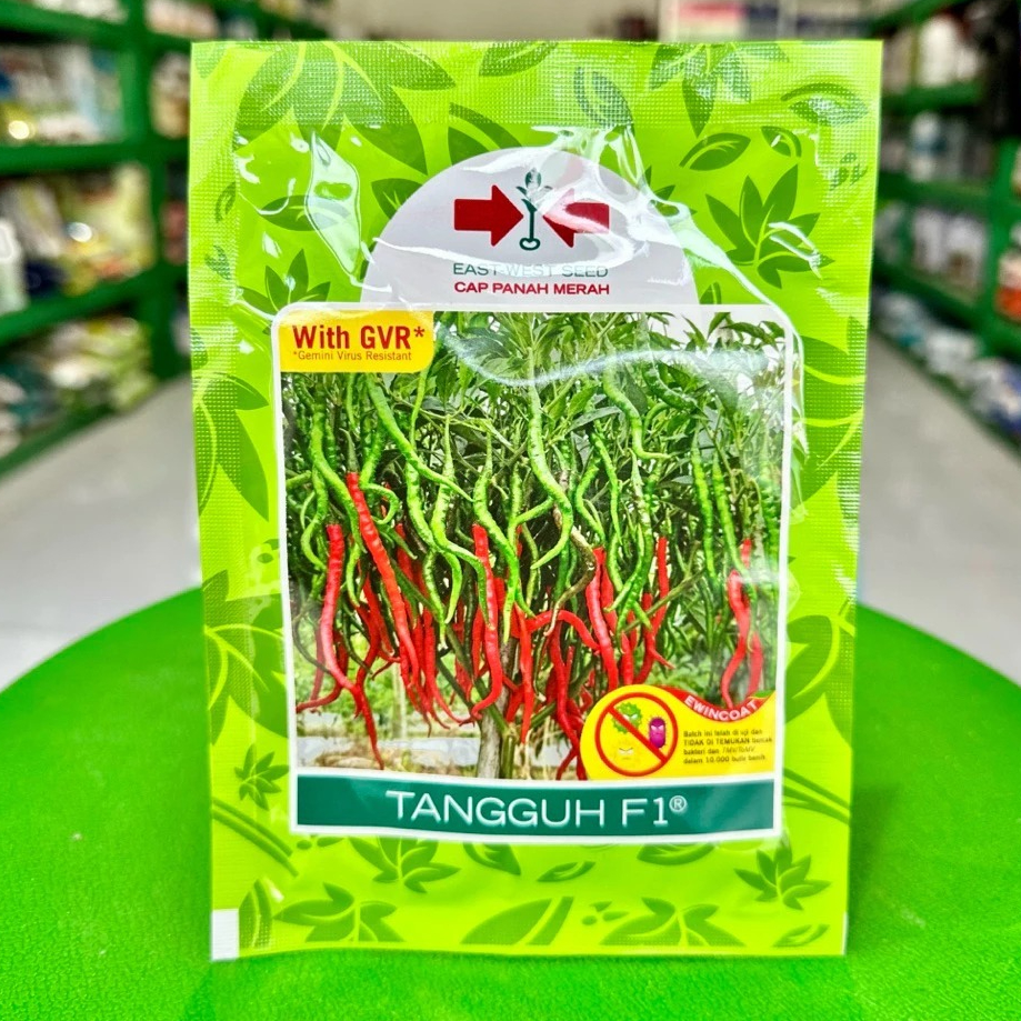 TERMURAH Benih Cabe Keriting Tahan Penyakit 2000 Butir