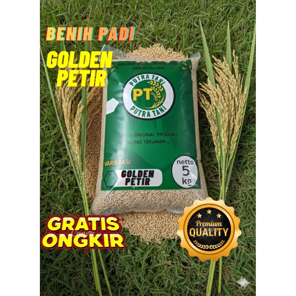 Benih padi bibit padi berkualitas GOLDEN PETIR kemasan 5kg