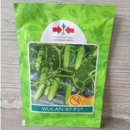 Benih Timun Panah Merah Wulan 97 F1