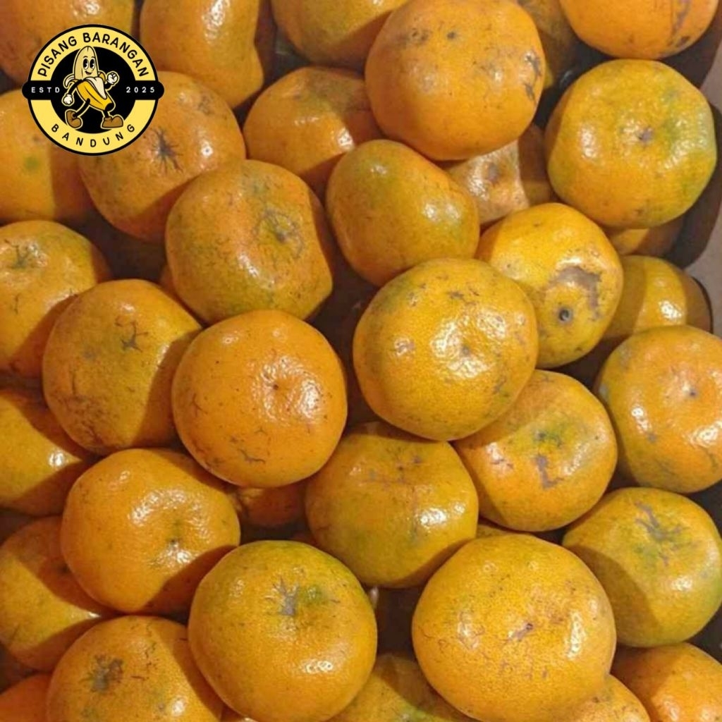 Jeruk Medan Berastagi Brastagi Asli Manis Fresh Segar 2 Kg Instant Bandung