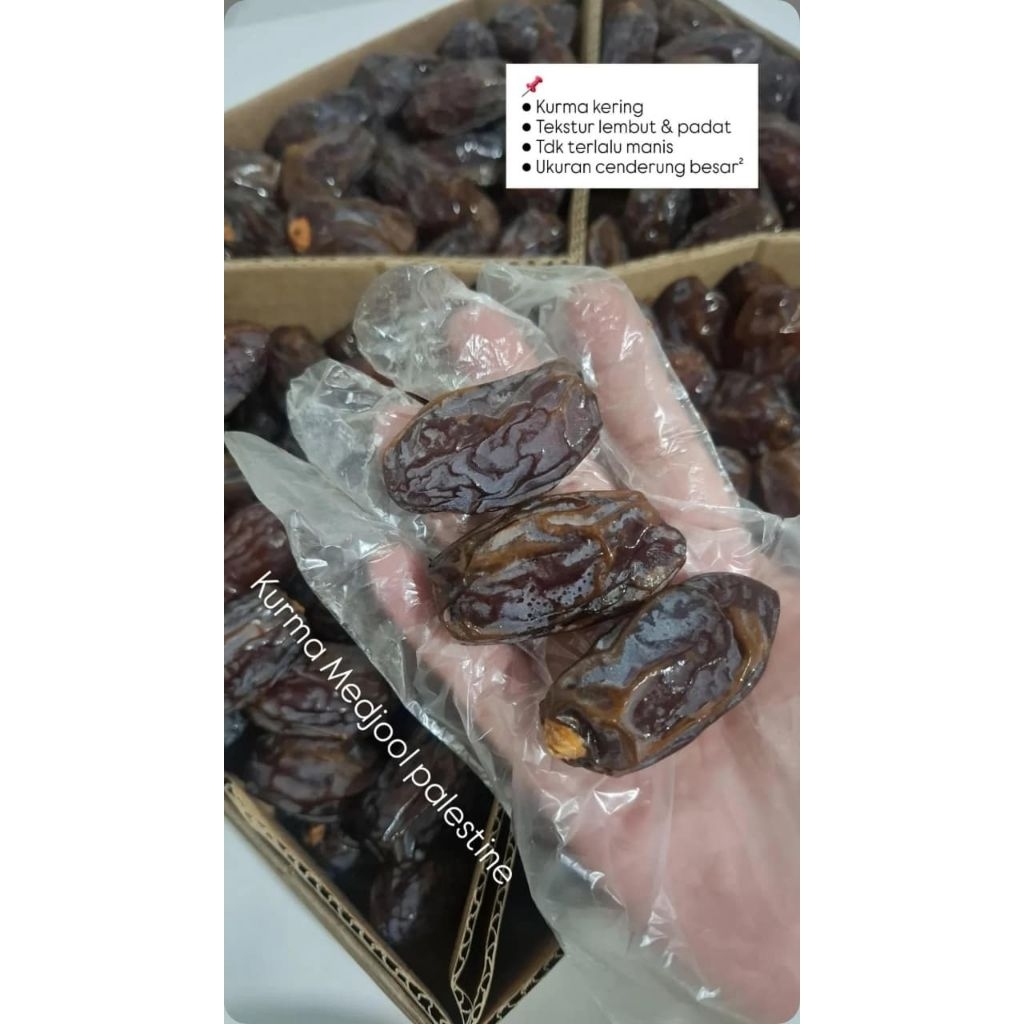 Kurma Medjool Palestine Premium 500gr / Medjool