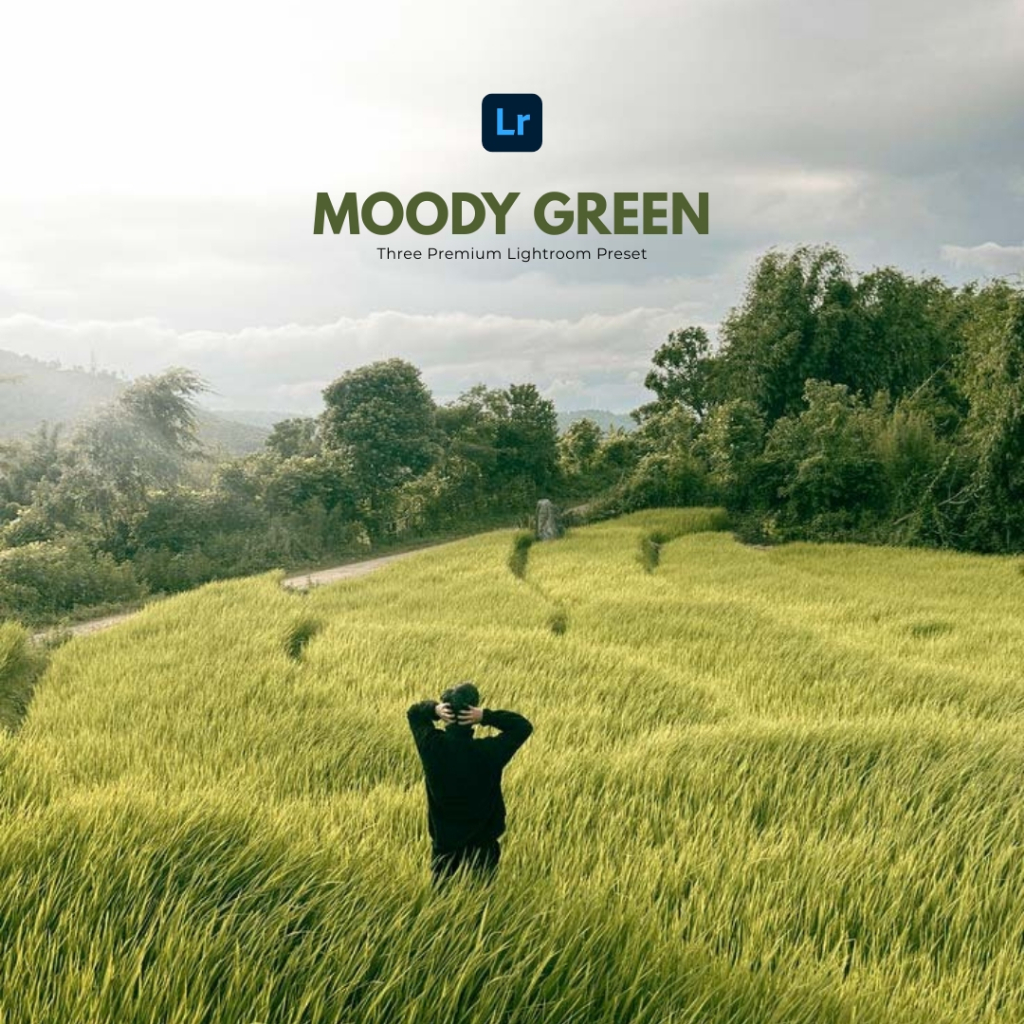 Preset Lightroom Premium - MOODY GREEN