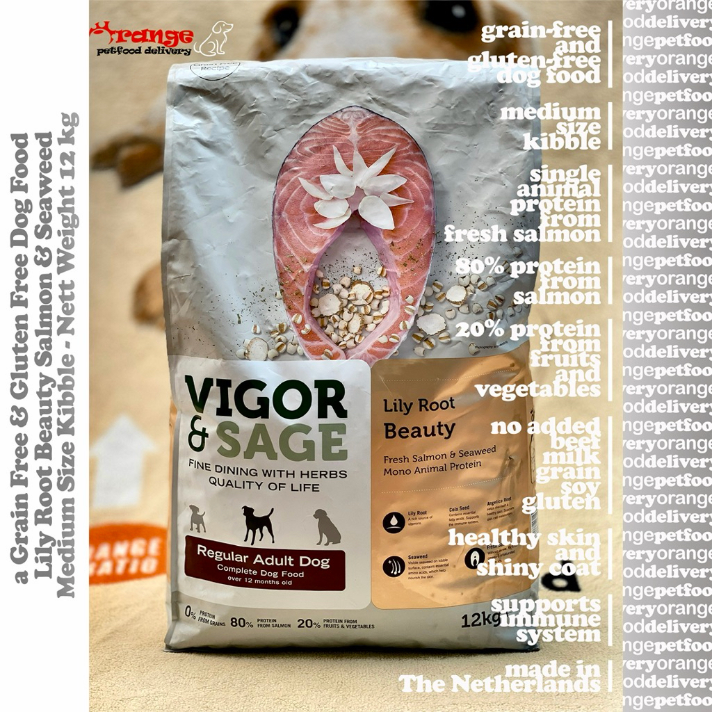 Vigor & Sage Lily Root Beauty Salmon & Seaweed Regular Adult 12 kg - Low Sensitivity Healthy Grain F