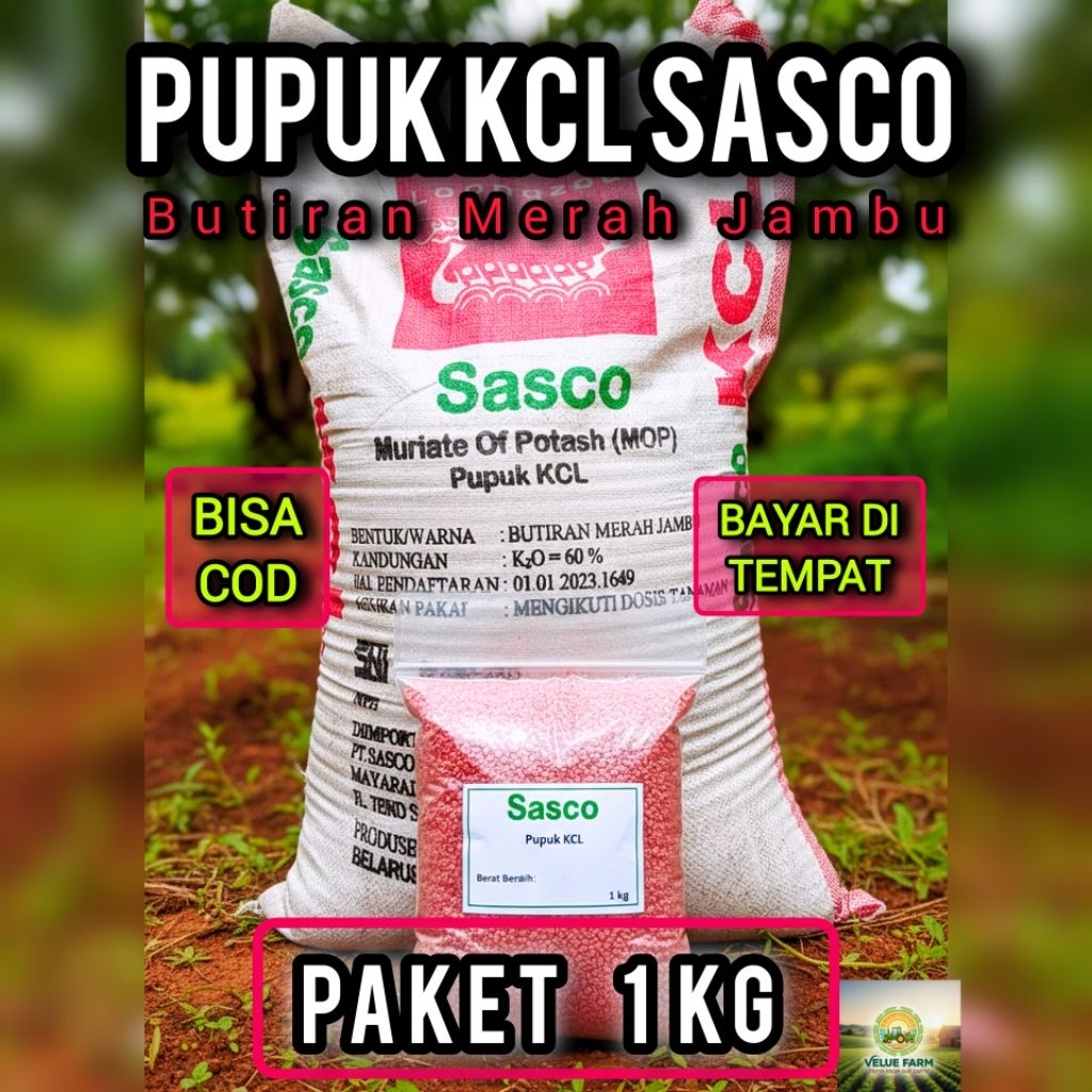 Pupuk KCL MOP Sasco 1Kg, Pupuk Butiran Merah Jambu