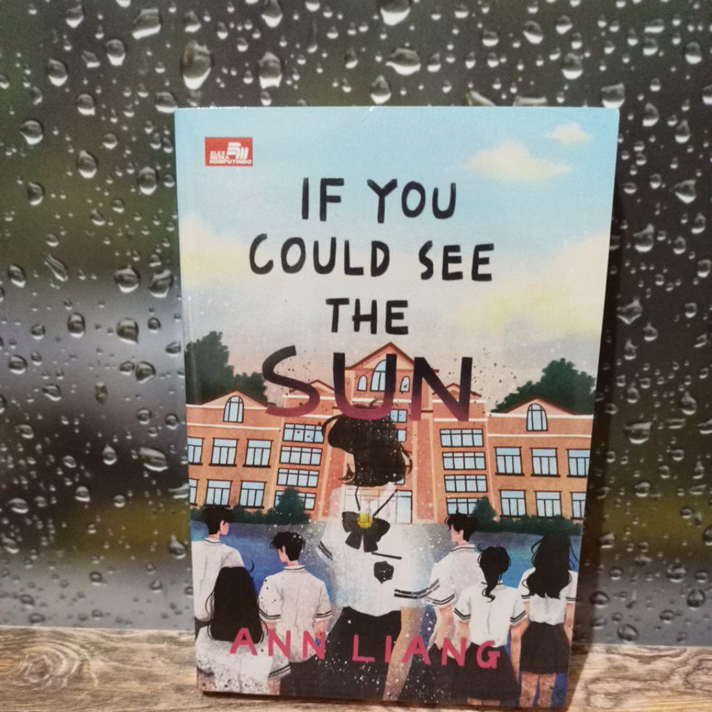 if you could see the sun