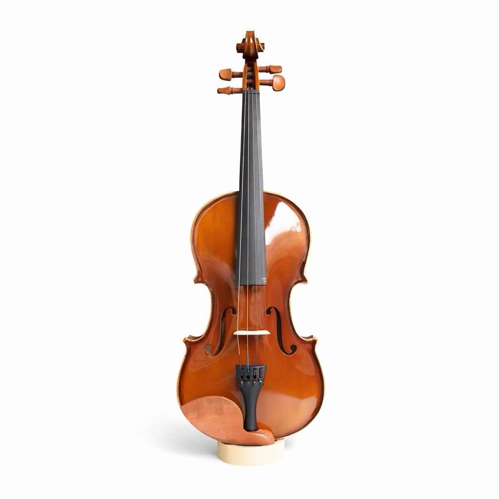 Biola SHIFEN V30 Solid Violin