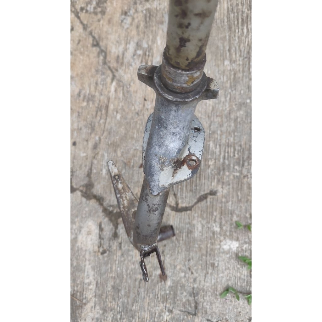 batang pork vespa  vbb th tua ori