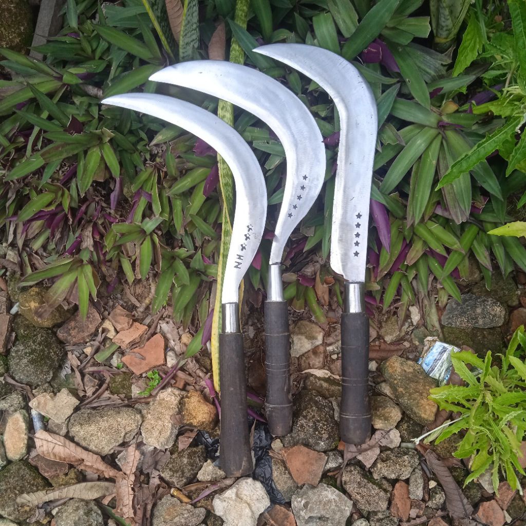 Arit rumput asli baja super kuat dan tajam ori madura