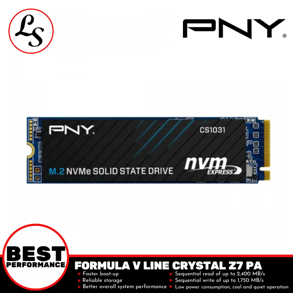 PNY SSD CS1031 256GB M.2 2280 NVMe Gen3x4 SSD