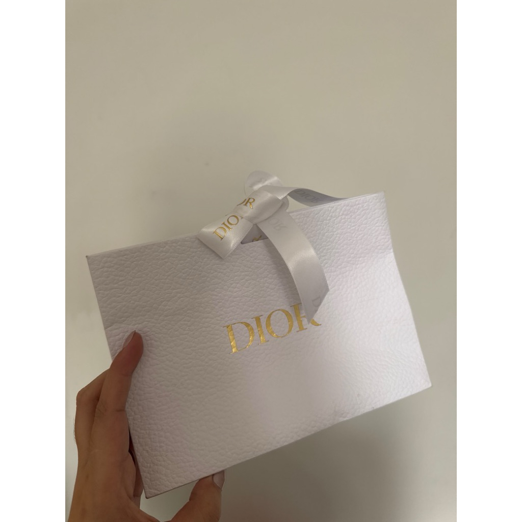 Paper Bag Dior with Ribbon Ori