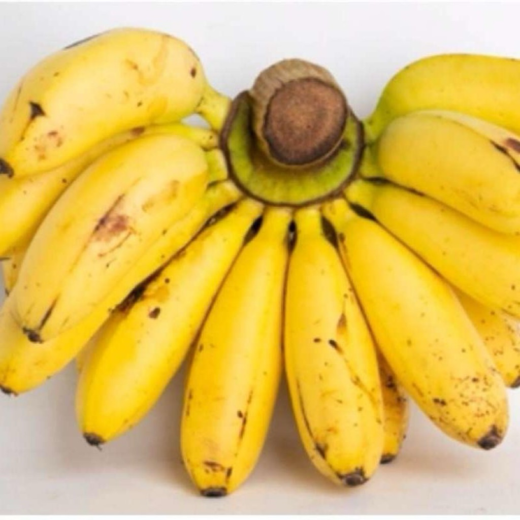 pisang emas pisang mas