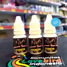 KECROTIN OBAT GURAH UNTUK SEMUA JENIS BURUNG dijamin AMPUH BEST SELLER