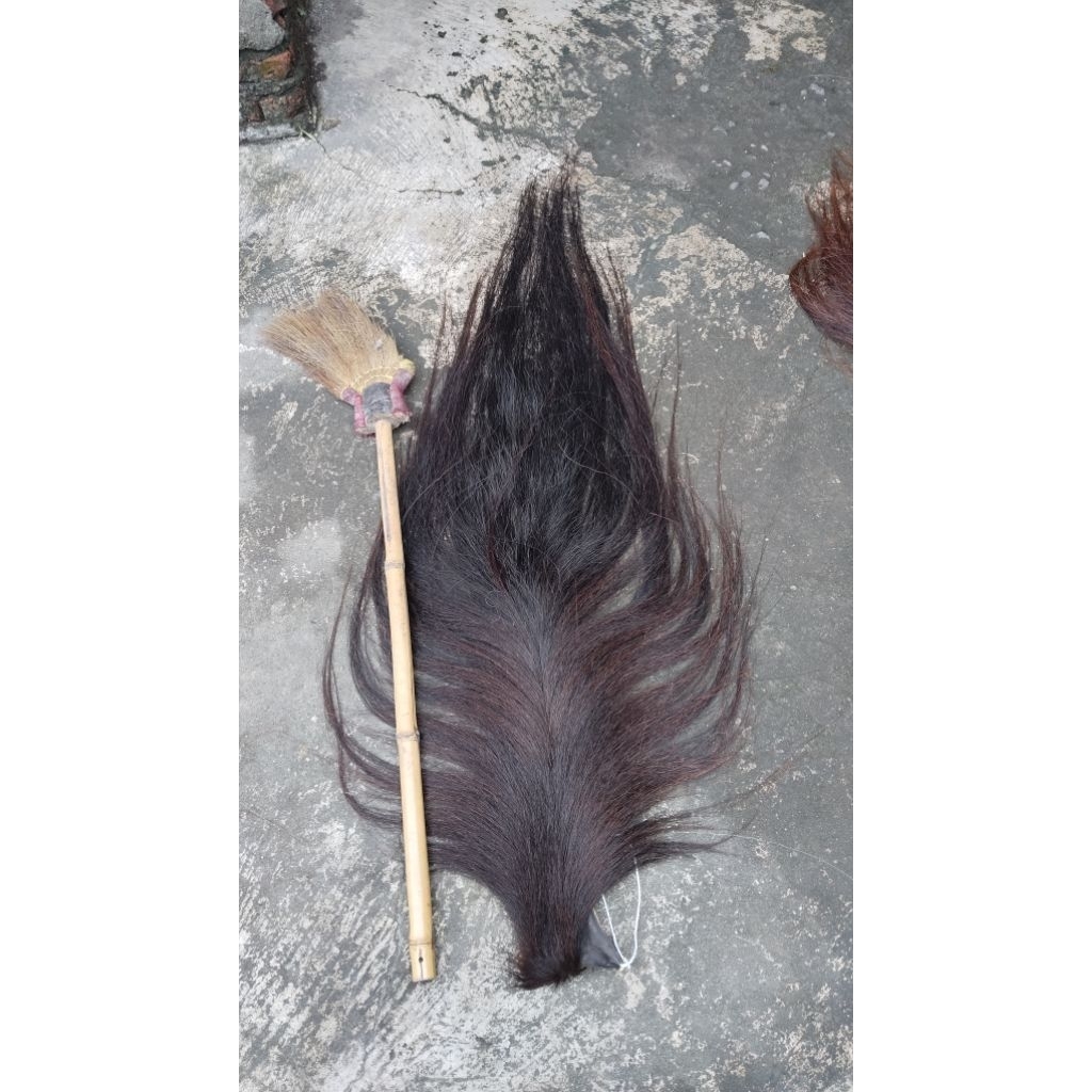 Rambut kuda, Ekor dan suri kuda