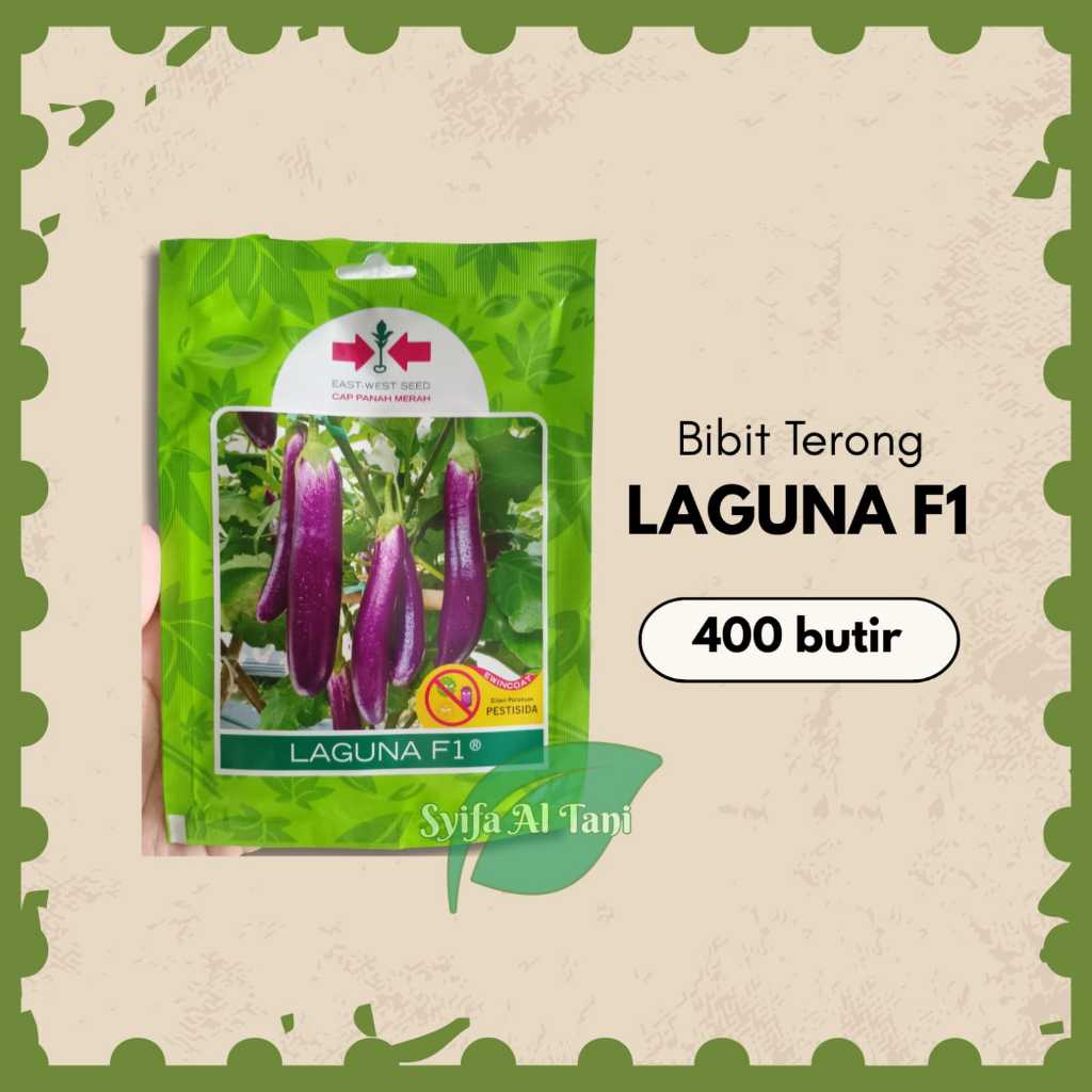 Benih Terong Ungu Terong Laguna | isi 400 btr