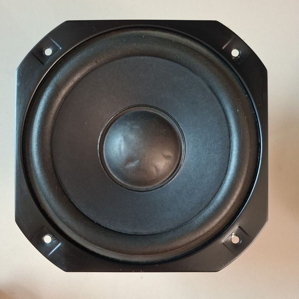 Woofer POLYTRON BIGBAND