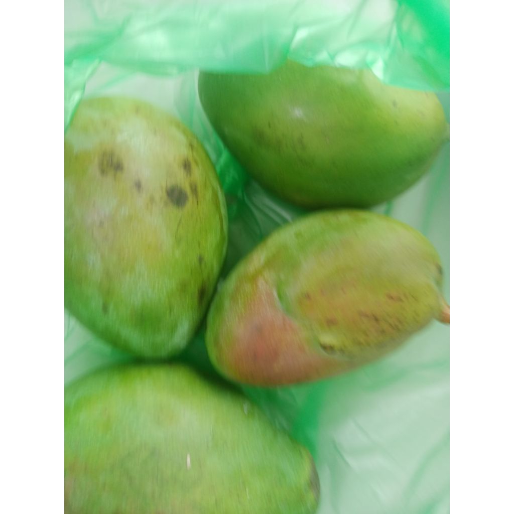 Mangga muda / Pencit buah segar
