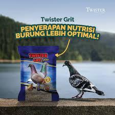 Twister Grit Plus Asinan untuk Burung Dara Murai Ayam Perkutut Puter dll 1 Kg - Menambah Kualitas Te