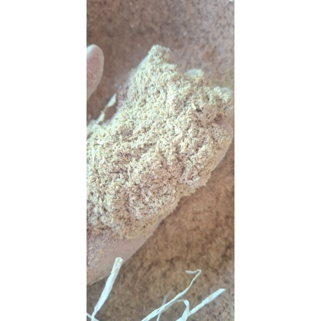 dedak padi berkualitas