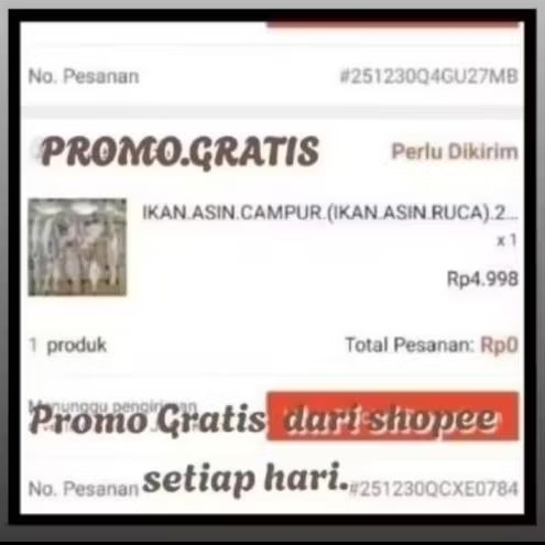 IKAN.ASIN.CAMPUR.250.GRAM.(IKAN.ASIN.RUCA).BERKWALITAS. Dan Spesial 0.rupiah.setiap.hari.dari.shopee