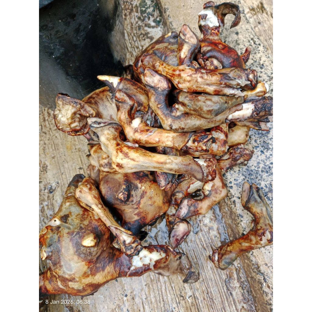 kepala dan kaki kambing