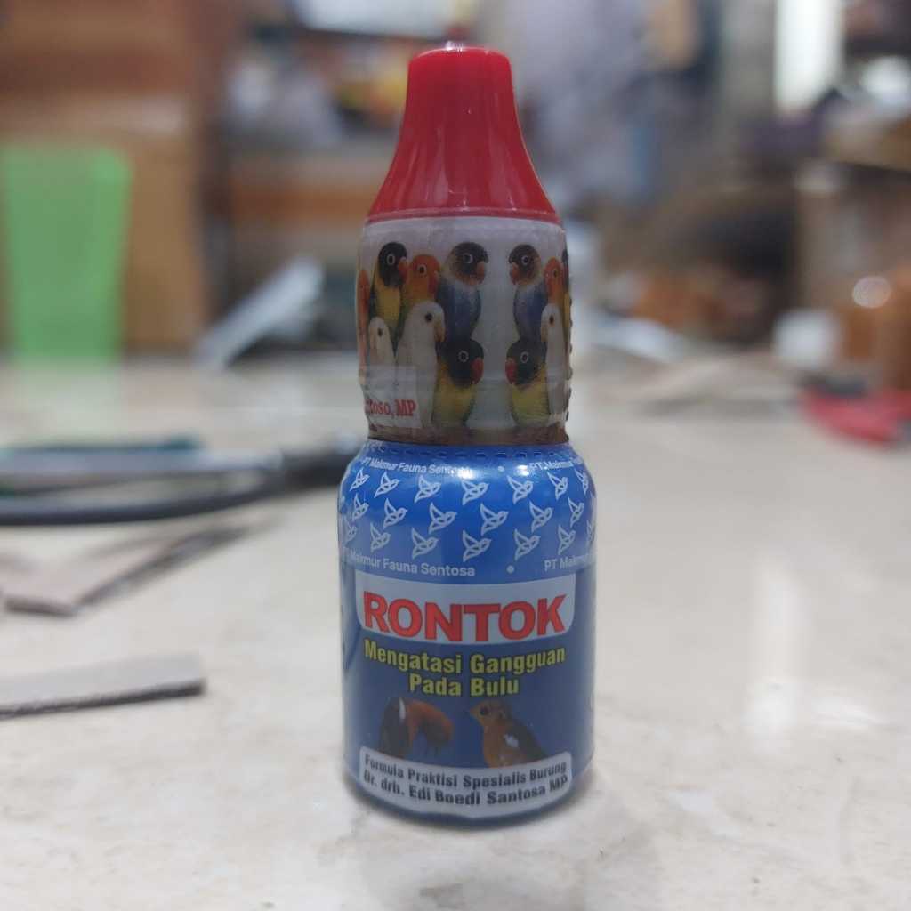 RONTOK  DR.EDI  OBAT BURUNG SAKIT GANGGUAN PERTUMBUHAN BULU BOTAK BULU RONTOK MABUNG