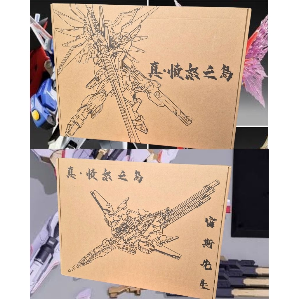 Angry Shinn asuka 1/144 Destiny (Metal robot style) + Zeus shilloutte