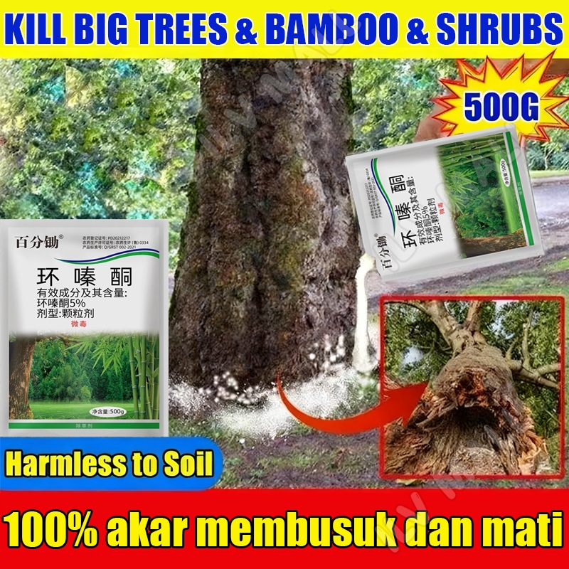 herbisida pembasmi rumput liar 500g racun rumput paling ampuh obat rumput racun bambu racun pohon be