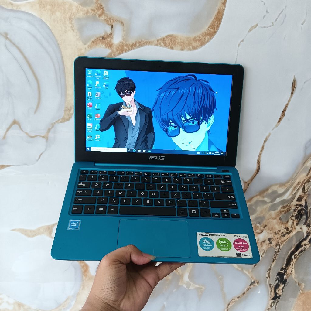 ASUS E202SA INTEL N3060